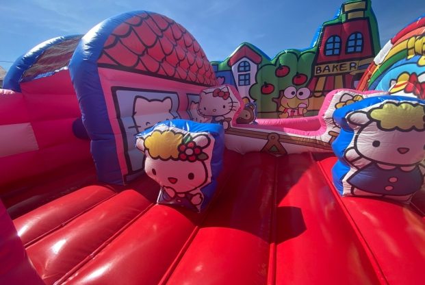 HELLO KITTY — slika 18