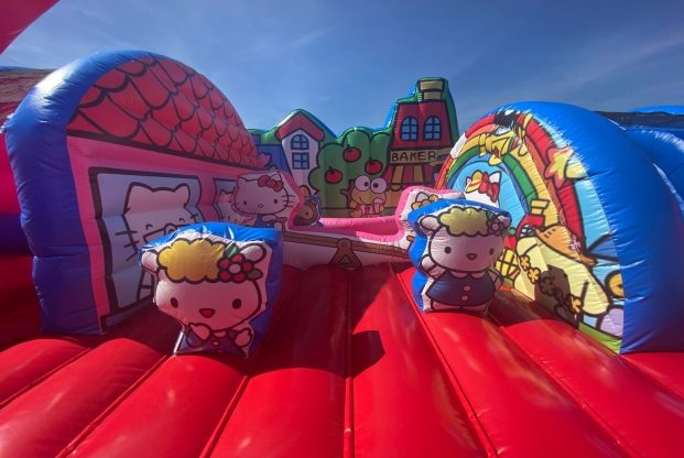 HELLO KITTY — slika 28
