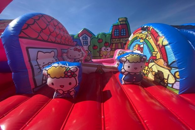 HELLO KITTY — slika 21