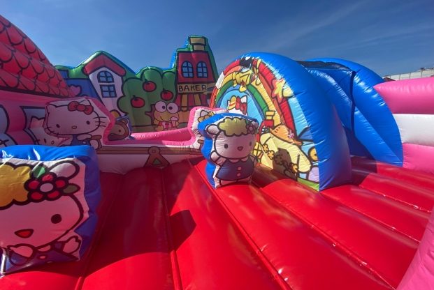 HELLO KITTY — slika 17
