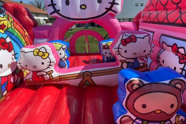 HELLO KITTY — slika 20