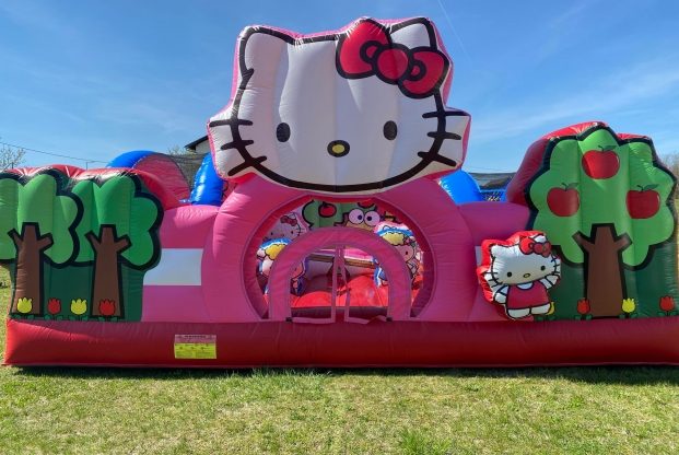 HELLO KITTY — slika 13